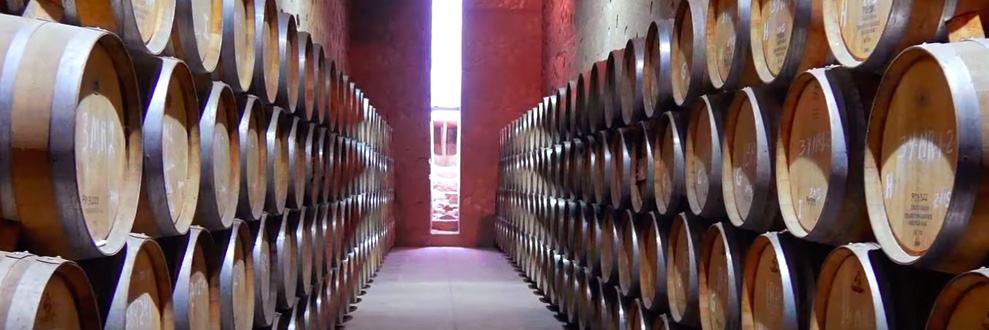 Valle de Guadalupe
